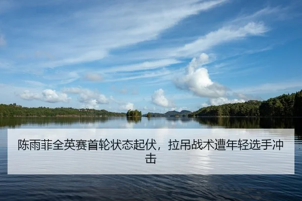 陈雨菲全英赛首轮状态起伏，拉吊战术遭年轻选手冲击
