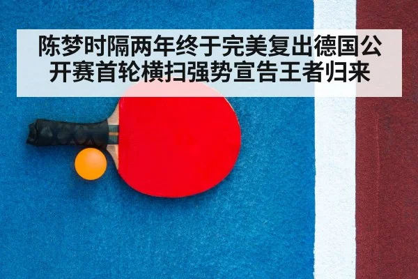 table tennis racket